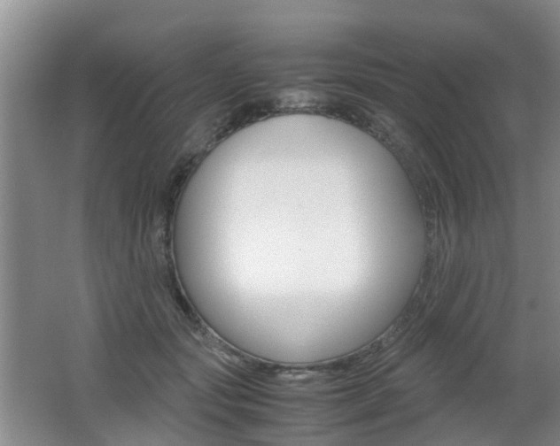 X0000062600557200512210913