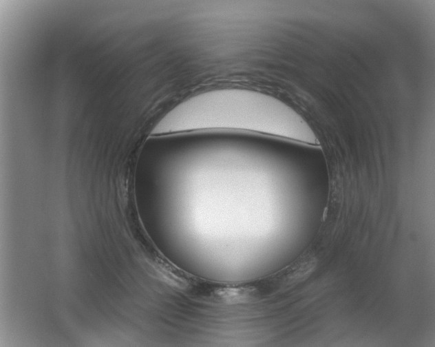 X0000062600558200512210913