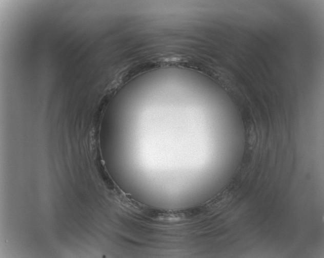 X0000062600559200512210913