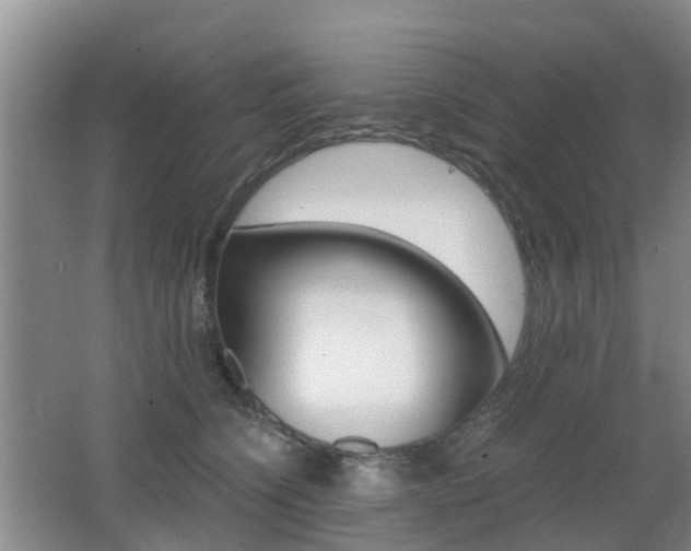 X0000062600564200512210913