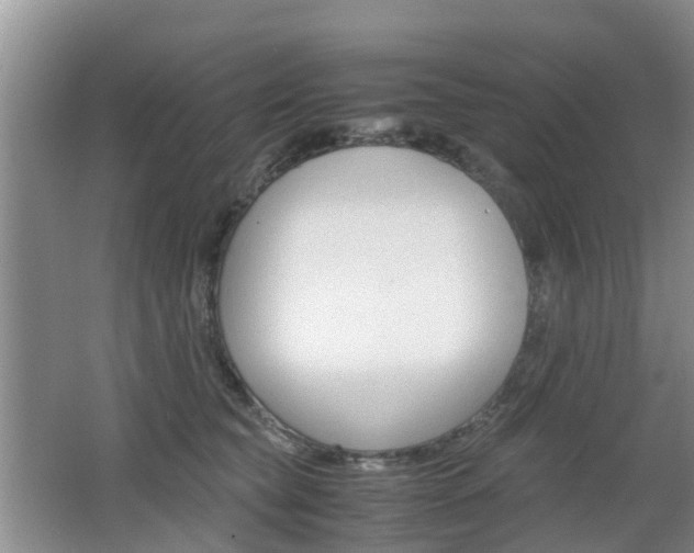 X0000062600565200512210913