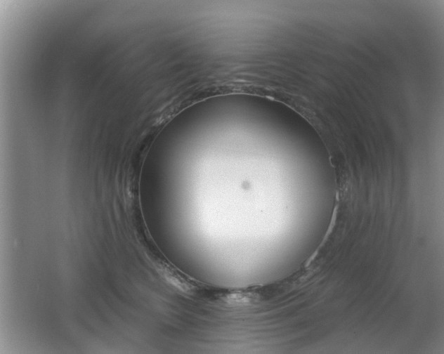 X0000062600566200512210913