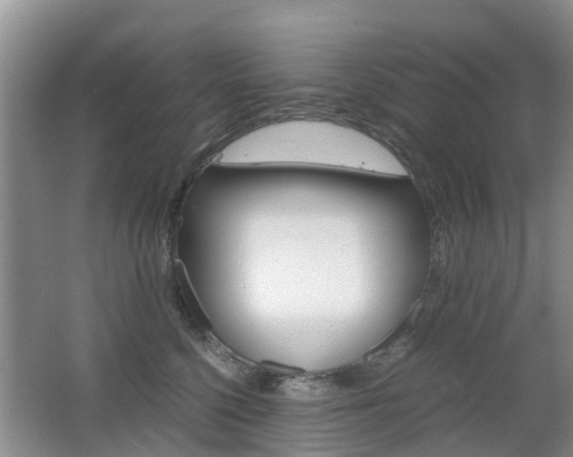 X0000062600568200512210913