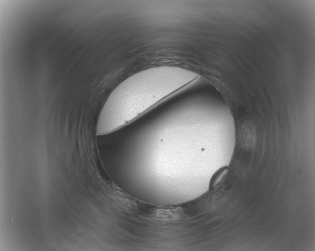 X0000062600571200512210913