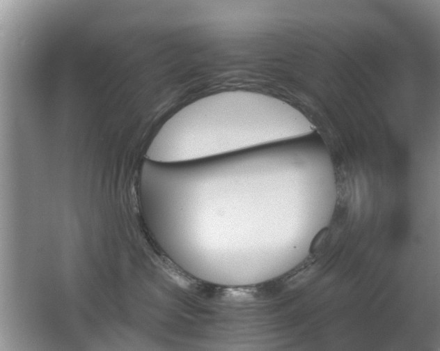 X0000062600573200512210913