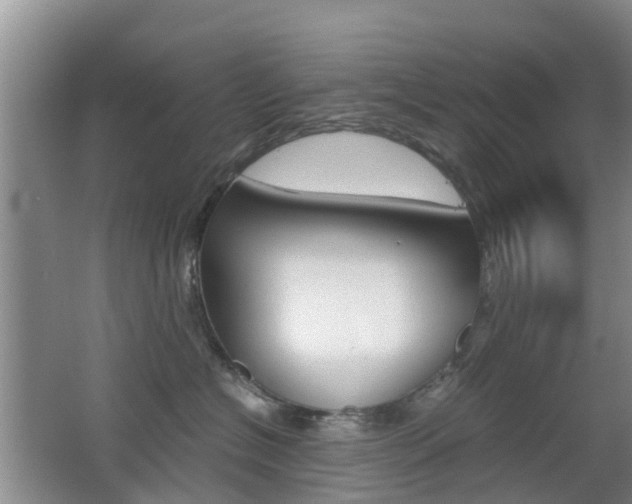 X0000062600574200512210914