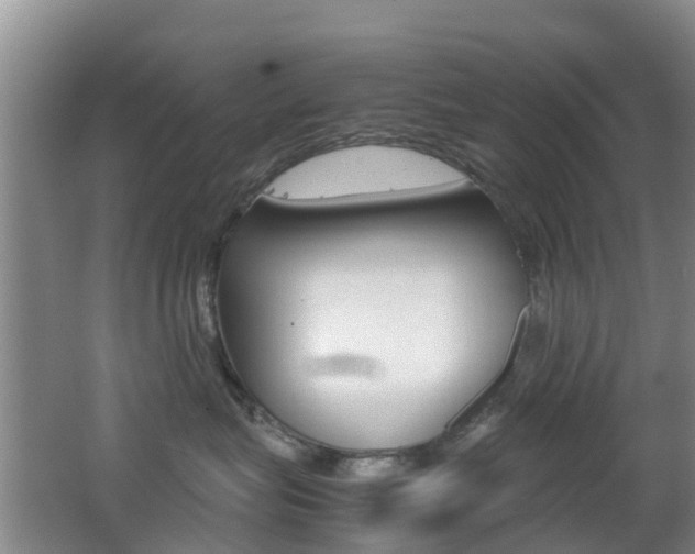 X0000062600575200512210914