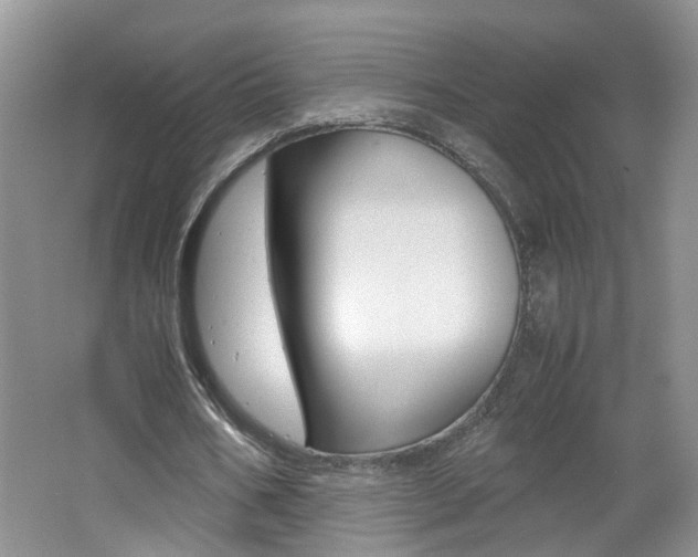 X0000062600578200512210913