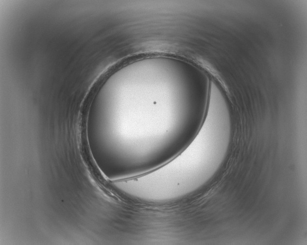 X0000062600580200512210913