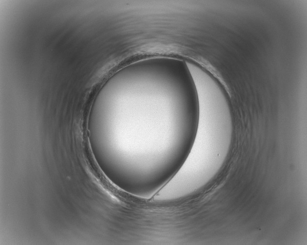 X0000062600581200512210913