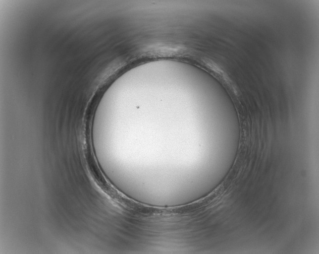 X0000062600582200512210913