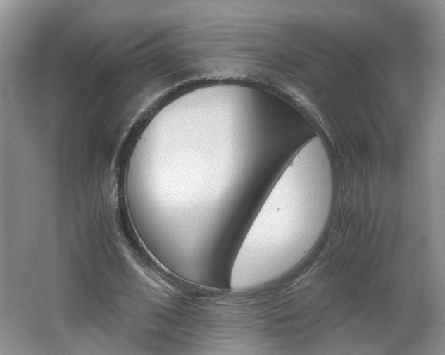 X0000062600584200512210913