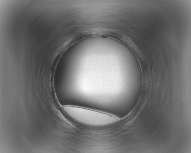 X0000062600585200512210913