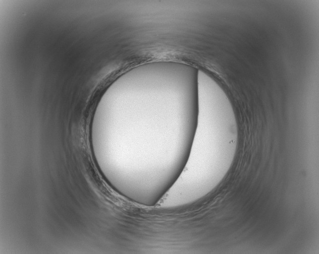 X0000062600587200512210913