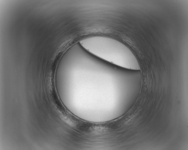 X0000062600590200512210912