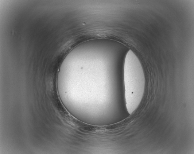 X0000062600595200512210912
