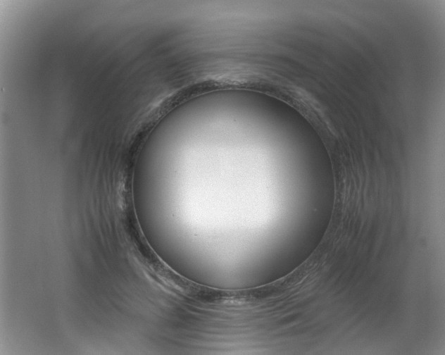 X0000062600596200512210912