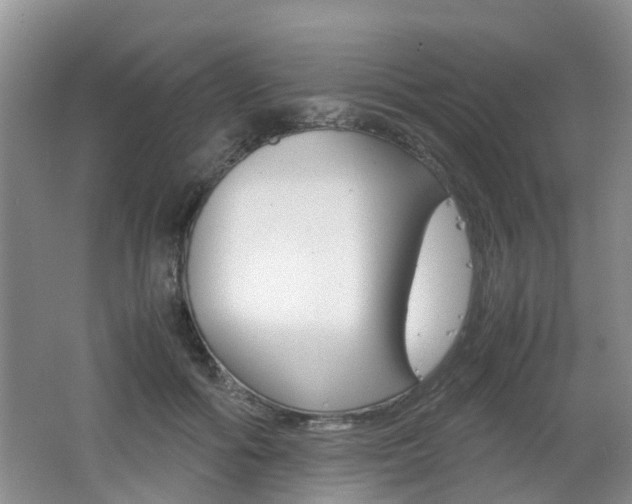X0000062600602200512210912