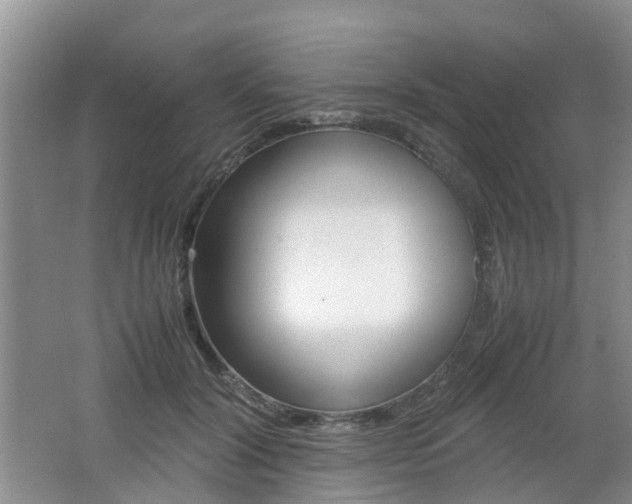 X0000062600604200512210912