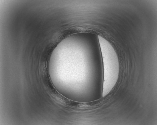 X0000062600605200512210912