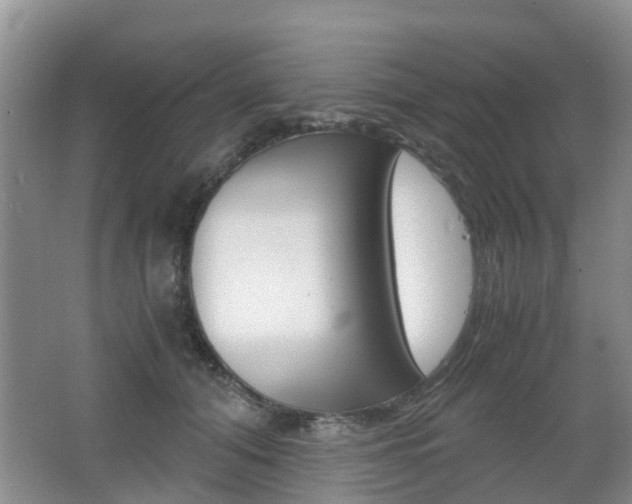 X0000062600608200512210912