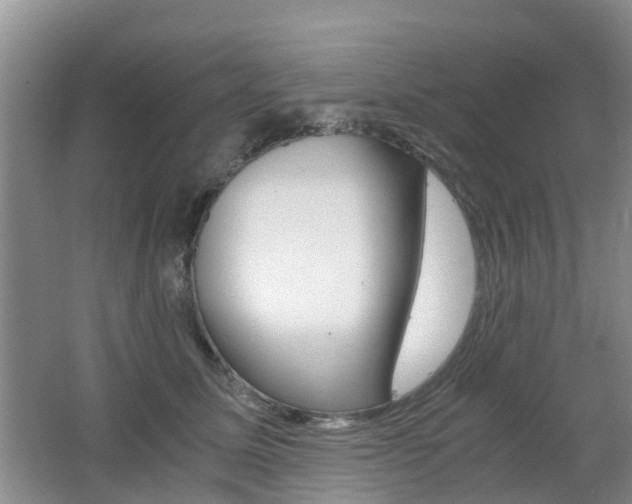 X0000062600611200512210912