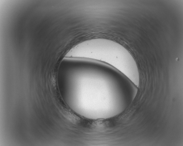 X0000062600613200512210912