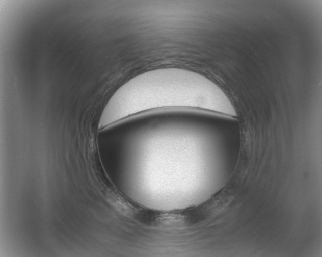 X0000062600617200512210912