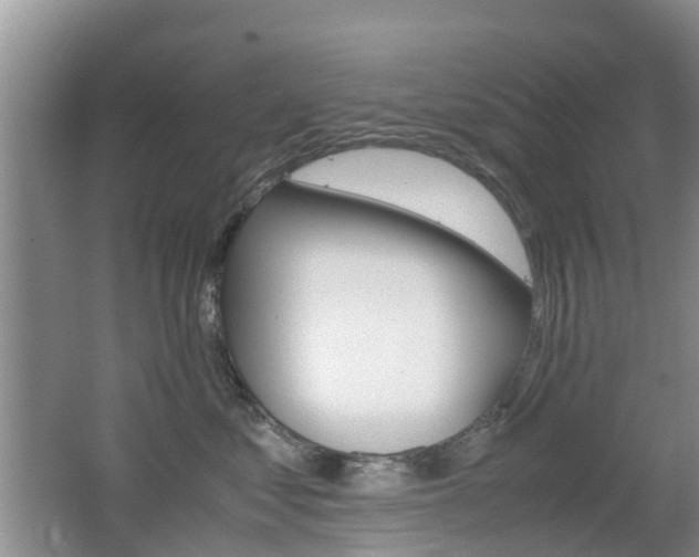 X0000062600621200512210912