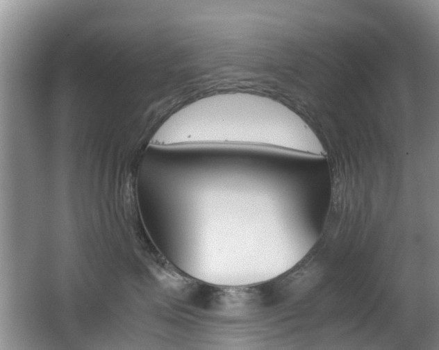 X0000062600623200512210912