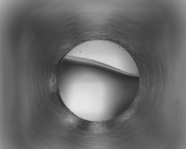 X0000062600624200512210912