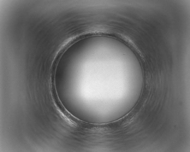 X0000062600629200512210911