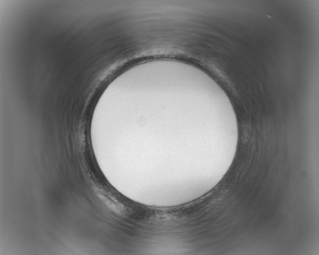 X0000062600632200512210911