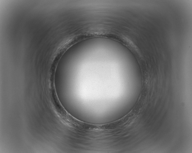 X0000062600635200512210911