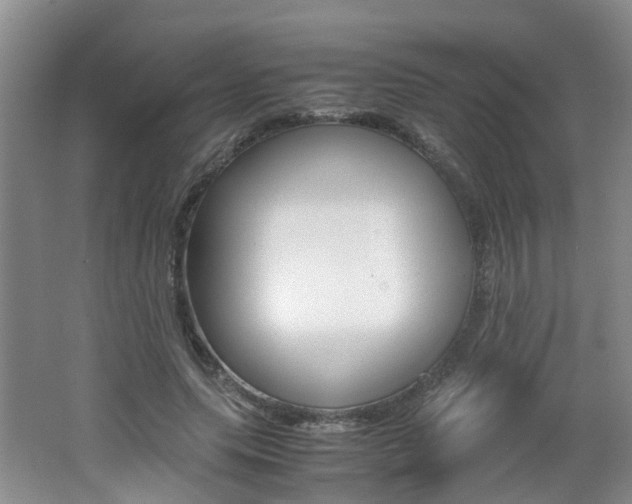 X0000062600639200512210911