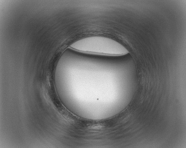 X0000062600643200512210911