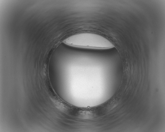 X0000062600649200512210911