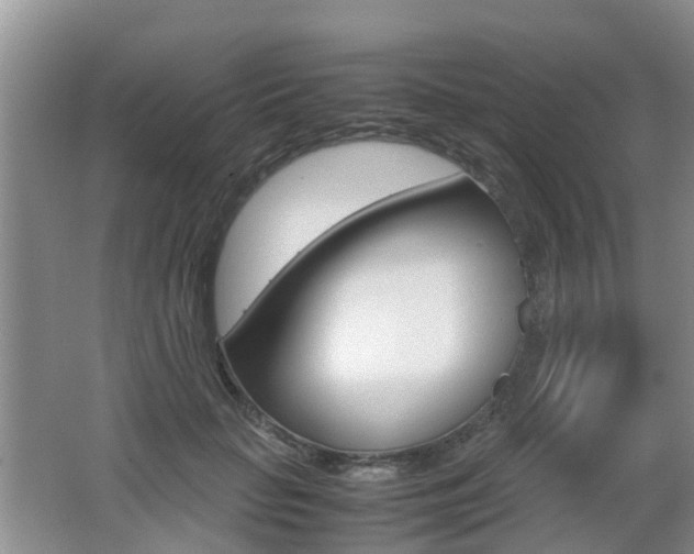 X0000062600653200512210912