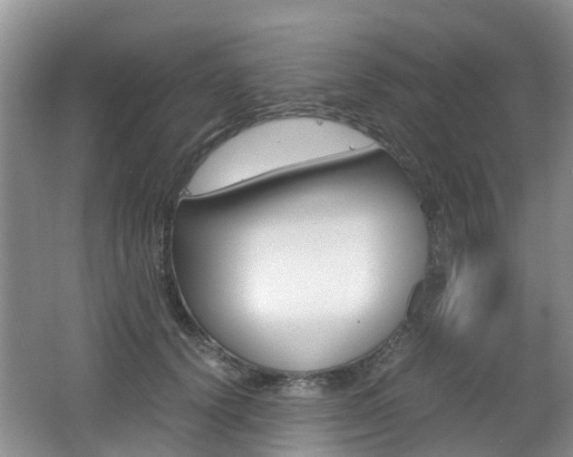 X0000062600656200512210912