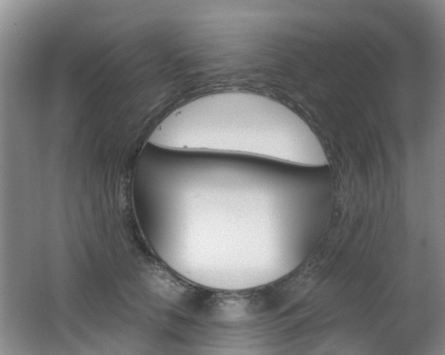 X0000062600658200512210912
