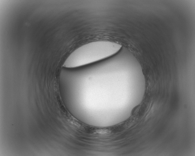 X0000062600659200512210912