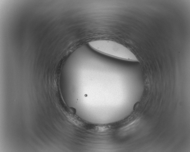 X0000062600662200512210912