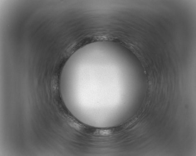 X0000062600665200512210912