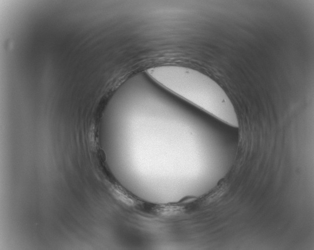 X0000062600670200512210912
