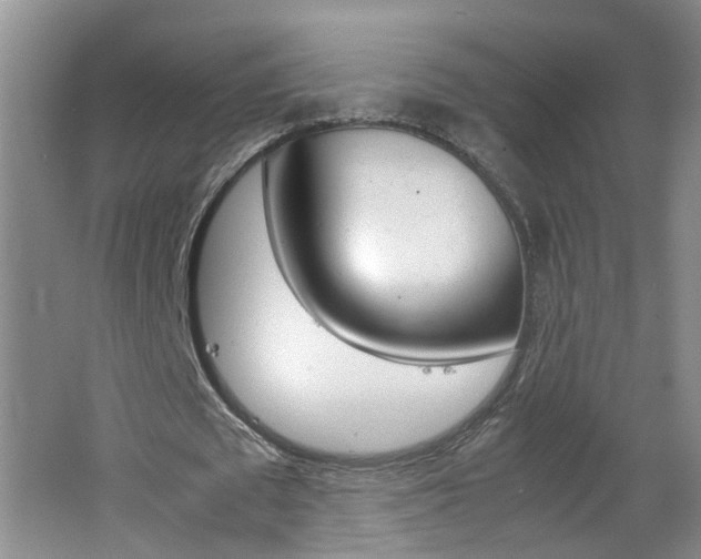 X0000062600673200512210911