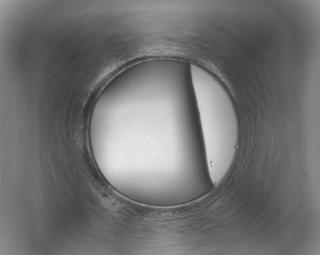 X0000062600675200512210911