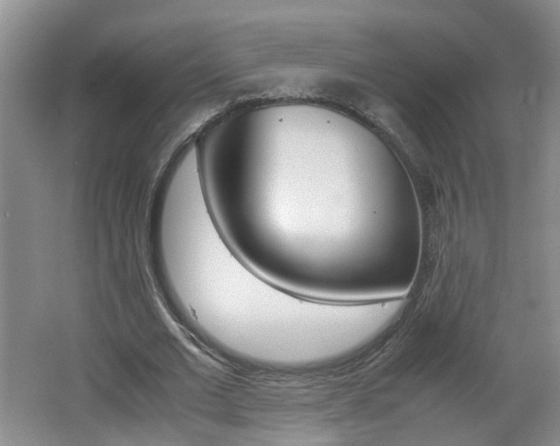 X0000062600677200512210911