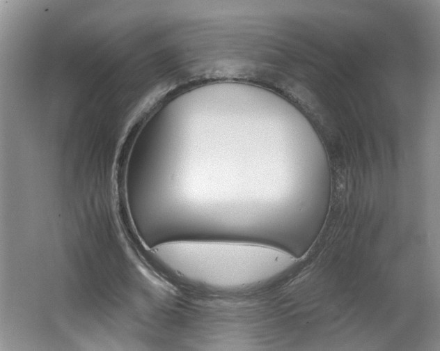 X0000062600678200512210911