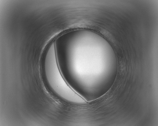 X0000062600680200512210911