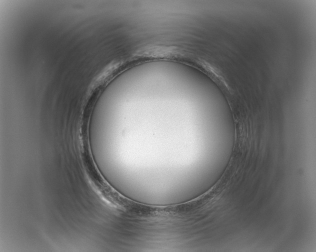 X0000062600682200512210911